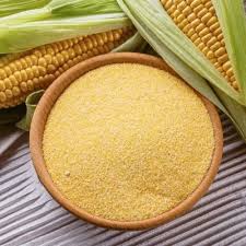 Yellow maize  powder